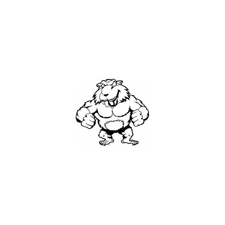 Beaver Decal Sticker V38 - DecalsHouse