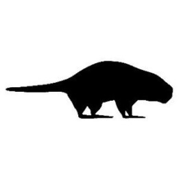 Beaver Decal Sticker V4 - DecalsHouse