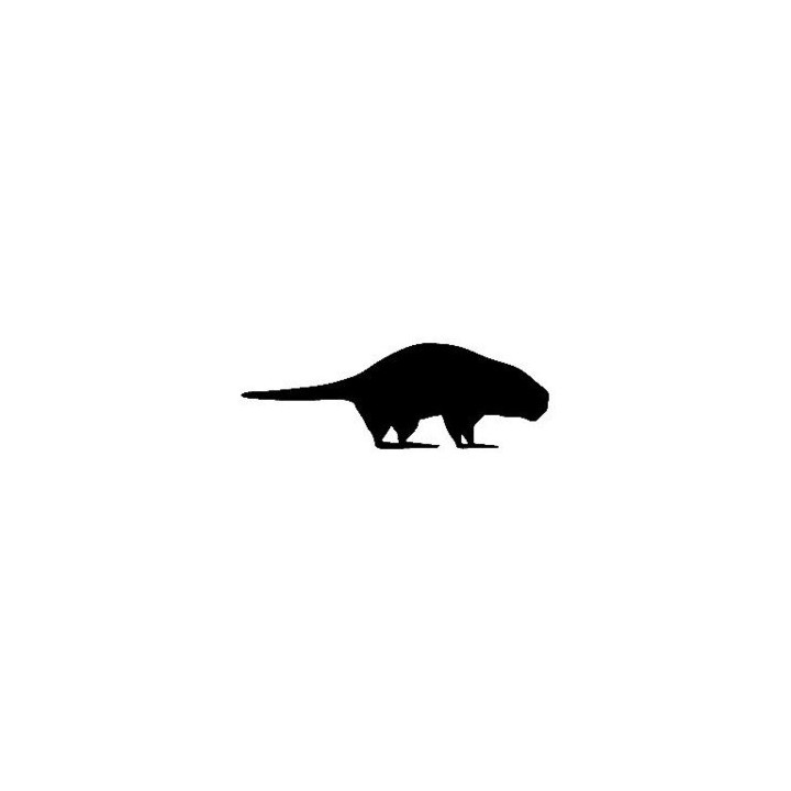 Beaver Decal Sticker V4 - DecalsHouse