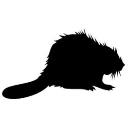 Beaver Decal Sticker V42 - DecalsHouse