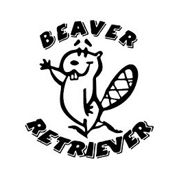 Beaver Decal Sticker V49 - DecalsHouse