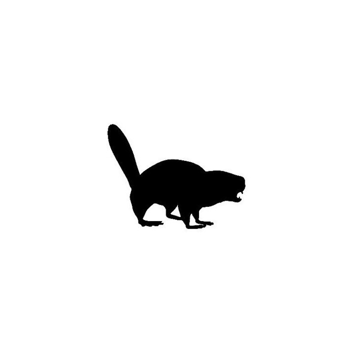 Beaver Decal Sticker V5 - DecalsHouse
