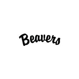 Beaver Decal Sticker V50 - DecalsHouse