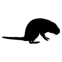 Beaver Decal Sticker V6 - DecalsHouse