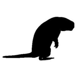 Beaver Decal Sticker V7 - DecalsHouse