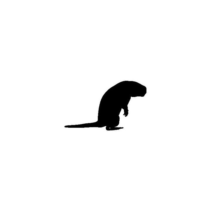 Beaver Decal Sticker V7 - DecalsHouse
