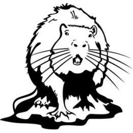 Beaver Decal Sticker V8 - DecalsHouse