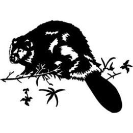 Beaver Decal Sticker V9 - DecalsHouse