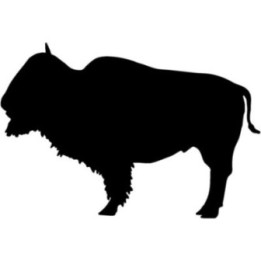 Bison Decal Sticker V2 - DecalsHouse