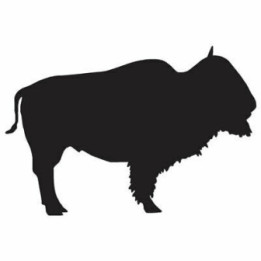 Bison Decal Sticker V23 - DecalsHouse