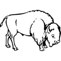 Bison Decal Sticker V28 - DecalsHouse