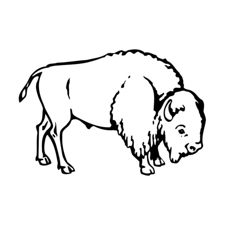 Bison Decal Sticker V28 - DecalsHouse
