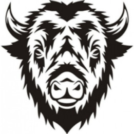 Bison Decal Sticker V33 - DecalsHouse
