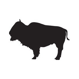 Bison Decal Sticker V35 - DecalsHouse