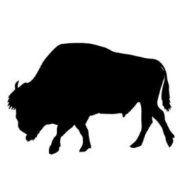 Bison Decal Sticker V5 - DecalsHouse