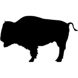 Bison Decal Sticker - DecalsHouse