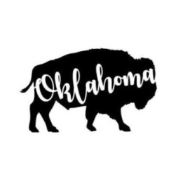 Buffalo Vinyl Decal Sticker V17 - DecalsHouse