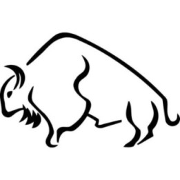 Buffalo Vinyl Decal Sticker V20 - DecalsHouse