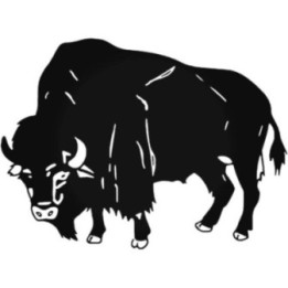 Buffalo Vinyl Decal Sticker V21 - DecalsHouse