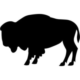 Buffalo Vinyl Decal Sticker V24 - DecalsHouse