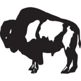 Buffalo Vinyl Decal Sticker V35 - DecalsHouse