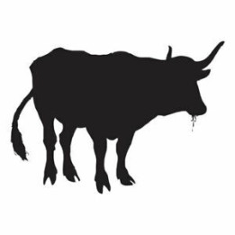 Buffalo Vinyl Decal Sticker V37 - DecalsHouse