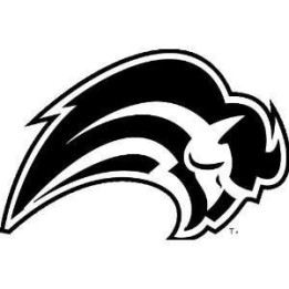 Buffalo Vinyl Decal Sticker V49 - DecalsHouse
