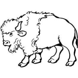 Buffalo Vinyl Decal Sticker V50 - DecalsHouse