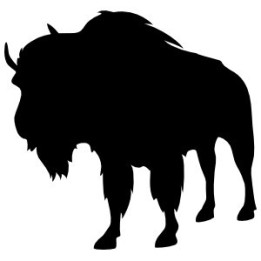 Buffalo Vinyl Decal Sticker V51 - DecalsHouse