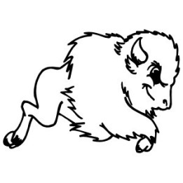 Buffalo Vinyl Decal Sticker V53 - DecalsHouse