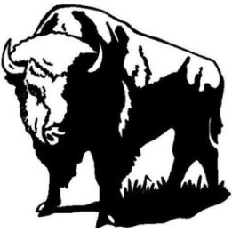 Buffalo Vinyl Decal Sticker V7 - DecalsHouse