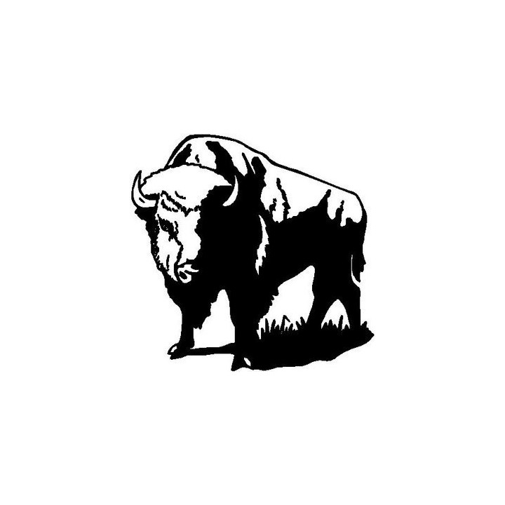 Buffalo Vinyl Decal Sticker V7 - DecalsHouse