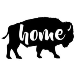 Buffalo Vinyl Decal Sticker V8 - DecalsHouse