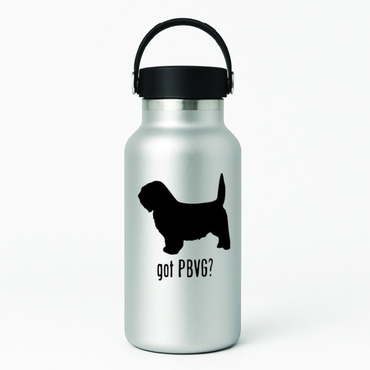 Buy Got Petit Basset Vendeen Griffon Dog Online