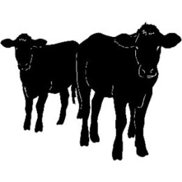 Cattle Calf Silhouette Stickers – Farm Animal Decals (2-Pack)