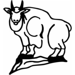 Goat Stickers – Billy Goat Farm Animal Decals (2-Pack)