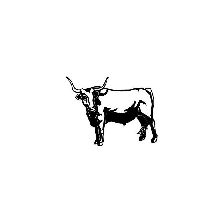 Longhorn Cattle Stickers – Bull Cow Farm Decals (2-Pack)
