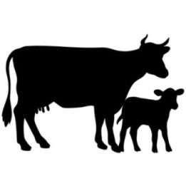 Cow & Calf Stickers – Farm Animal Silhouette Decals (2-Pack)
