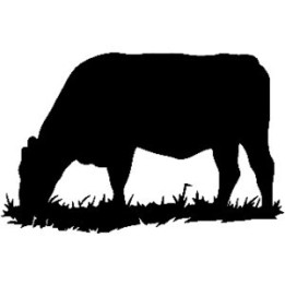 Grazing Cow Stickers – Cattle Farm Animal Decals (2-Pack)
