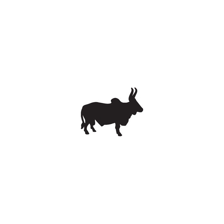 Cattle Longhorn Bull Stickers – Farm Animal Decals (2-Pack)