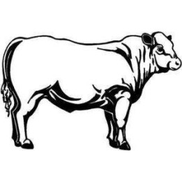 Beef Bull Cattle Stickers – Farm Cow Decals (2-Pack)