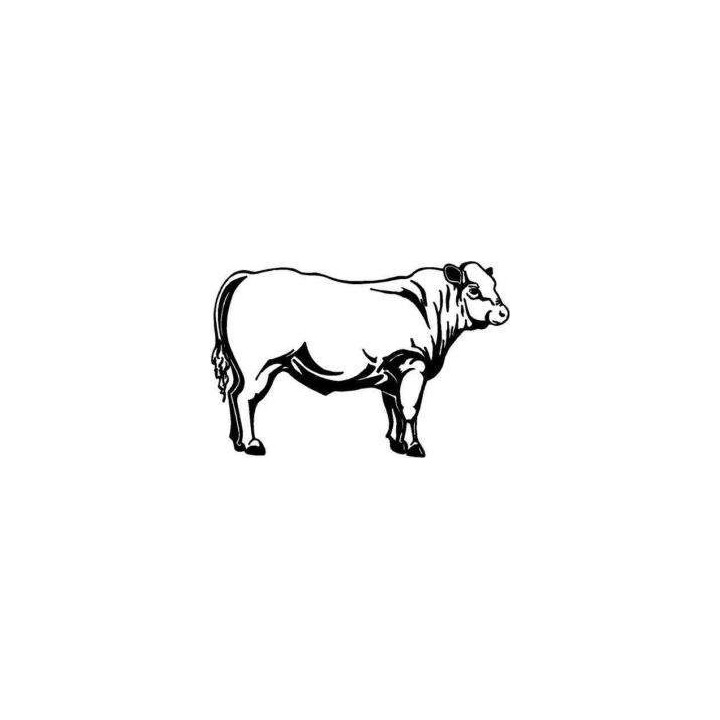 Beef Bull Cattle Stickers – Farm Cow Decals (2-Pack)
