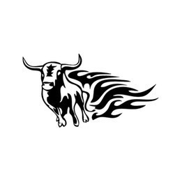 Flaming Bull Longhorn Cattle Stickers – Farm Decals (2-Pack)