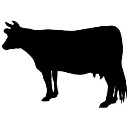 Cow Silhouette Stickers – Cattle Farm Decals (2-Pack)