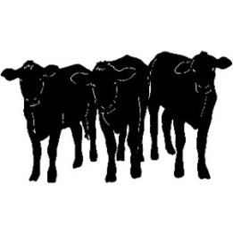 Cattle Cow Herd Silhouette Stickers – Farming Decals (2-Pack)