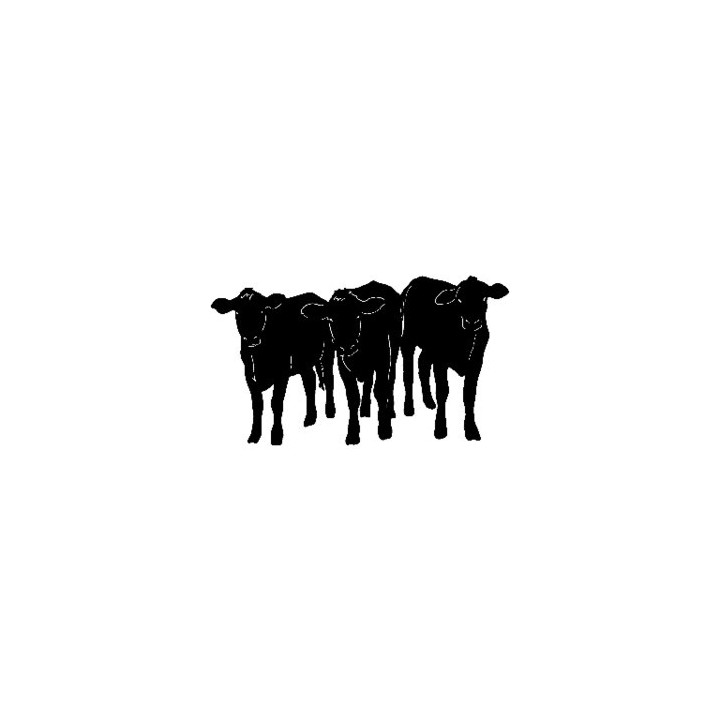 Cattle Cow Herd Silhouette Stickers – Farming Decals (2-Pack)