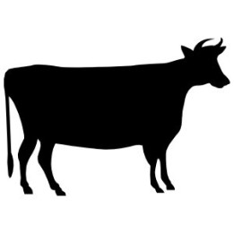 Cow Silhouette Stickers – Farm Animal Decals (2-Pack)