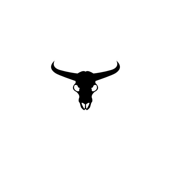 Longhorn Cattle Skull Stickers – Western Bull Decals (2-Pack)