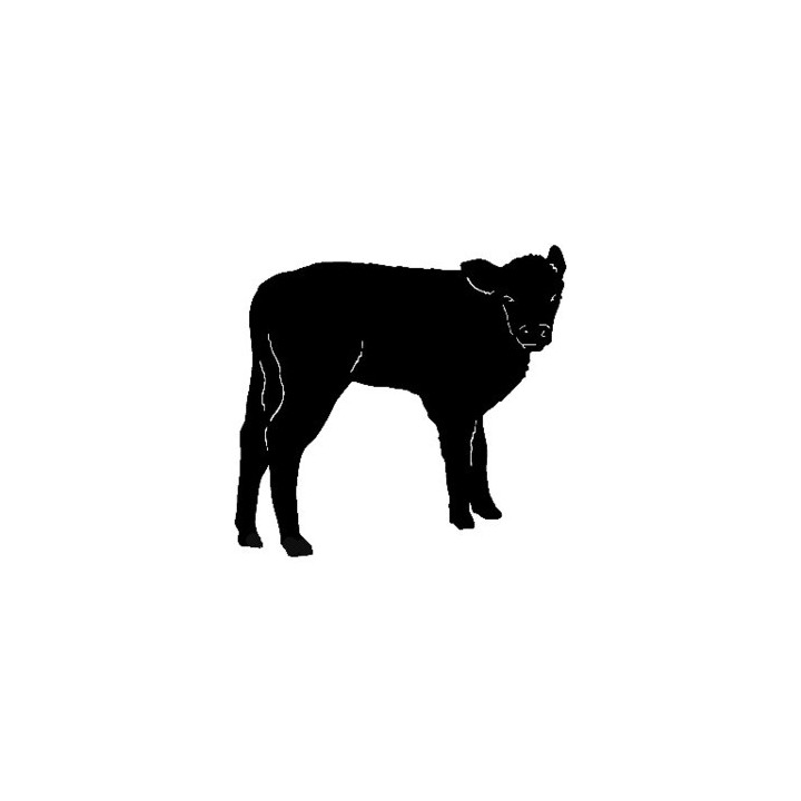 Calf Silhouette Stickers – Baby Cow Farm Decals (2-Pack)