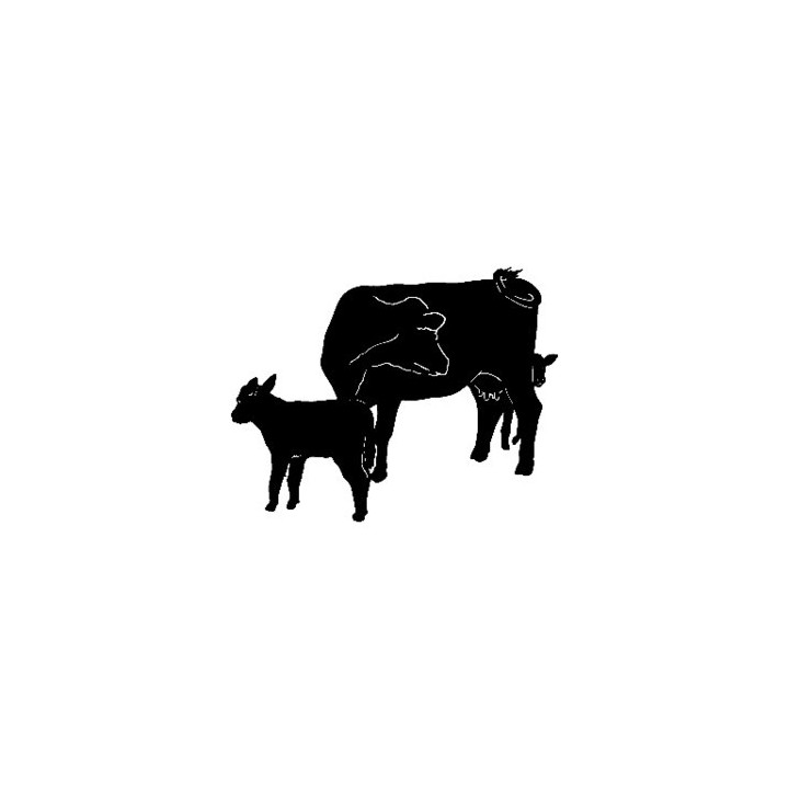 Cow and Calf Stickers – Dairy Cattle Decals (2-Pack)